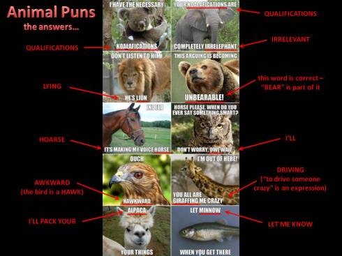 animal puns - answers